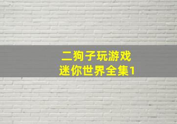 二狗子玩游戏迷你世界全集1