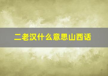 二老汉什么意思山西话