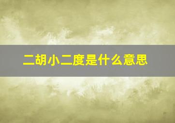 二胡小二度是什么意思