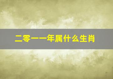 二零一一年属什么生肖