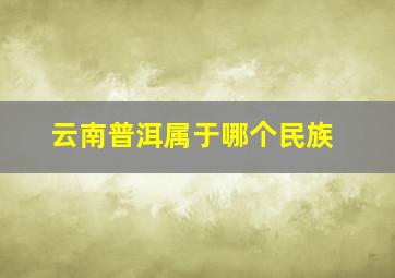 云南普洱属于哪个民族