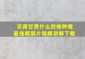 云南甘蔗什么时候种植最佳呢图片视频讲解下载