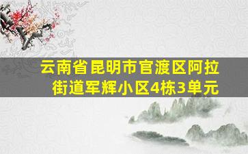 云南省昆明市官渡区阿拉街道军辉小区4栋3单元