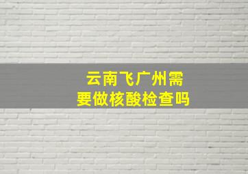 云南飞广州需要做核酸检查吗