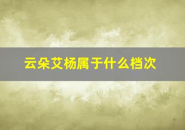 云朵艾杨属于什么档次