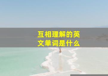 互相理解的英文单词是什么