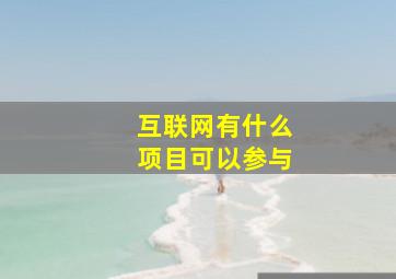 互联网有什么项目可以参与