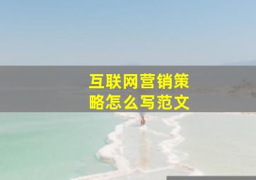 互联网营销策略怎么写范文