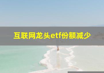 互联网龙头etf份额减少