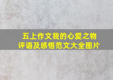 五上作文我的心爱之物评语及感悟范文大全图片