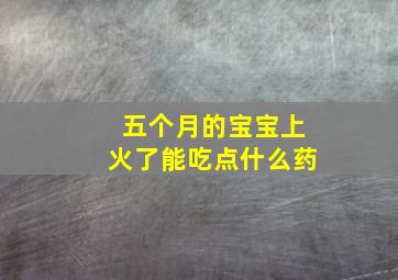 五个月的宝宝上火了能吃点什么药