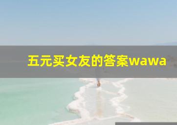 五元买女友的答案wawa