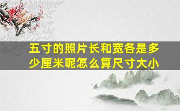 五寸的照片长和宽各是多少厘米呢怎么算尺寸大小