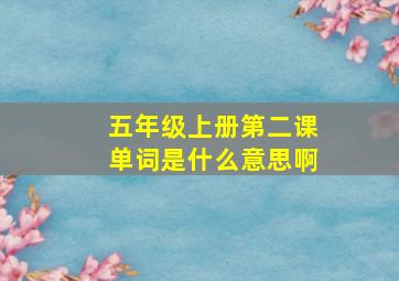 五年级上册第二课单词是什么意思啊