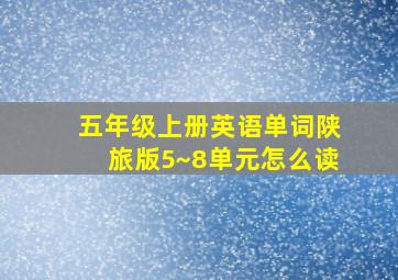 五年级上册英语单词陕旅版5~8单元怎么读