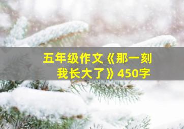 五年级作文《那一刻我长大了》450字