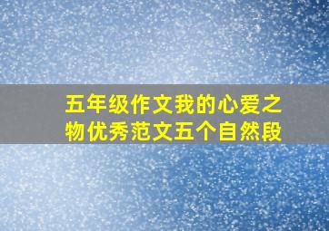 五年级作文我的心爱之物优秀范文五个自然段