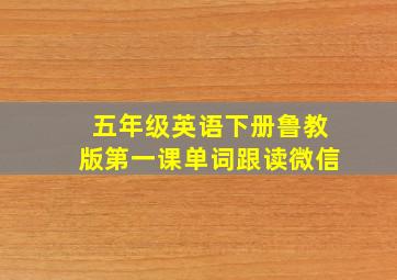 五年级英语下册鲁教版第一课单词跟读微信