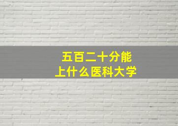 五百二十分能上什么医科大学