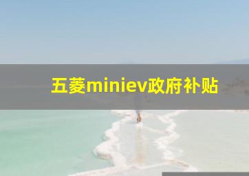 五菱miniev政府补贴