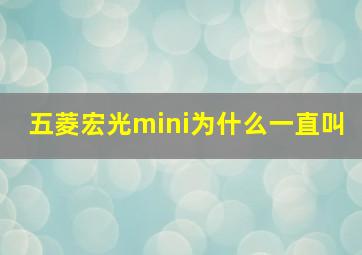 五菱宏光mini为什么一直叫