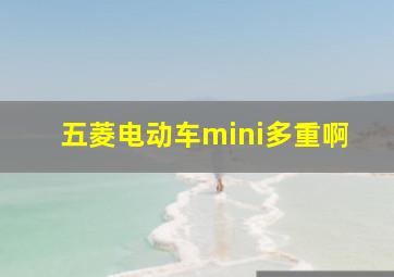 五菱电动车mini多重啊