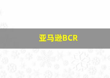 亚马逊BCR