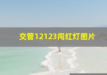 交管12123闯红灯图片