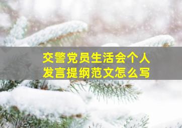 交警党员生活会个人发言提纲范文怎么写