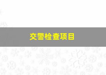 交警检查项目