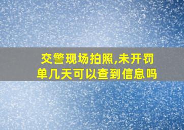 交警现场拍照,未开罚单几天可以查到信息吗