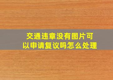 交通违章没有图片可以申请复议吗怎么处理