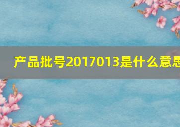 产品批号2017013是什么意思