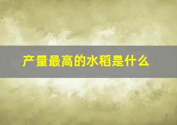 产量最高的水稻是什么