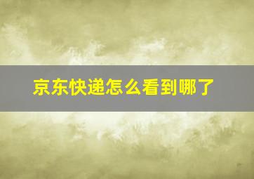 京东快递怎么看到哪了