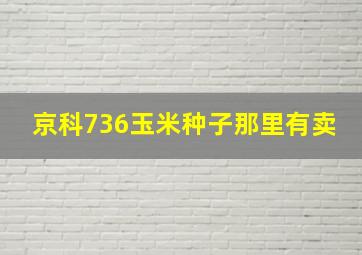 京科736玉米种子那里有卖