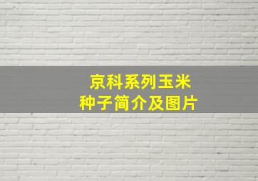 京科系列玉米种子简介及图片