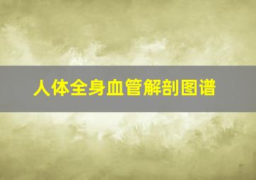 人体全身血管解剖图谱