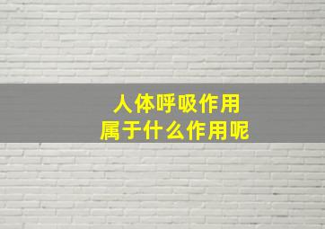 人体呼吸作用属于什么作用呢