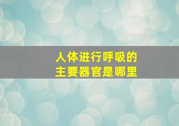 人体进行呼吸的主要器官是哪里