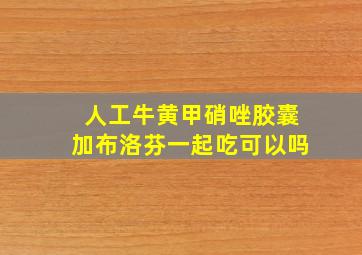 人工牛黄甲硝唑胶囊加布洛芬一起吃可以吗