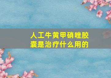 人工牛黄甲硝唑胶囊是治疗什么用的