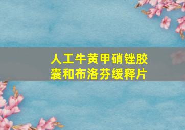 人工牛黄甲硝锉胶囊和布洛芬缓释片