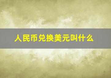 人民币兑换美元叫什么