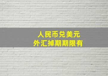 人民币兑美元外汇掉期期限有