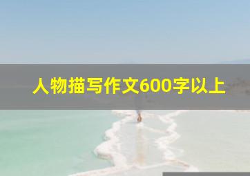 人物描写作文600字以上