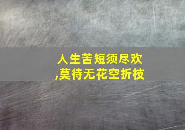 人生苦短须尽欢,莫待无花空折枝