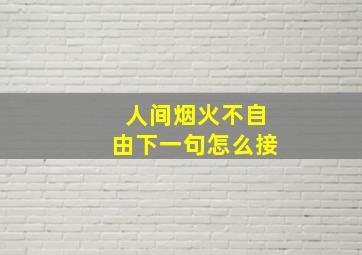 人间烟火不自由下一句怎么接