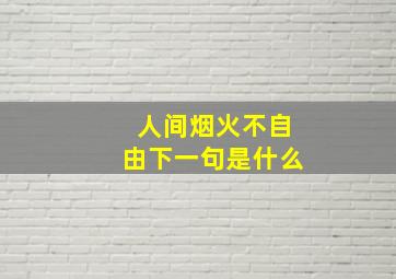 人间烟火不自由下一句是什么