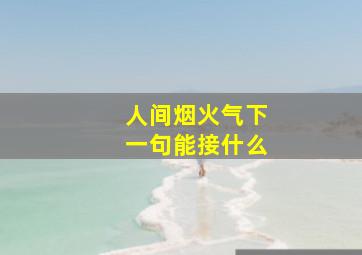 人间烟火气下一句能接什么